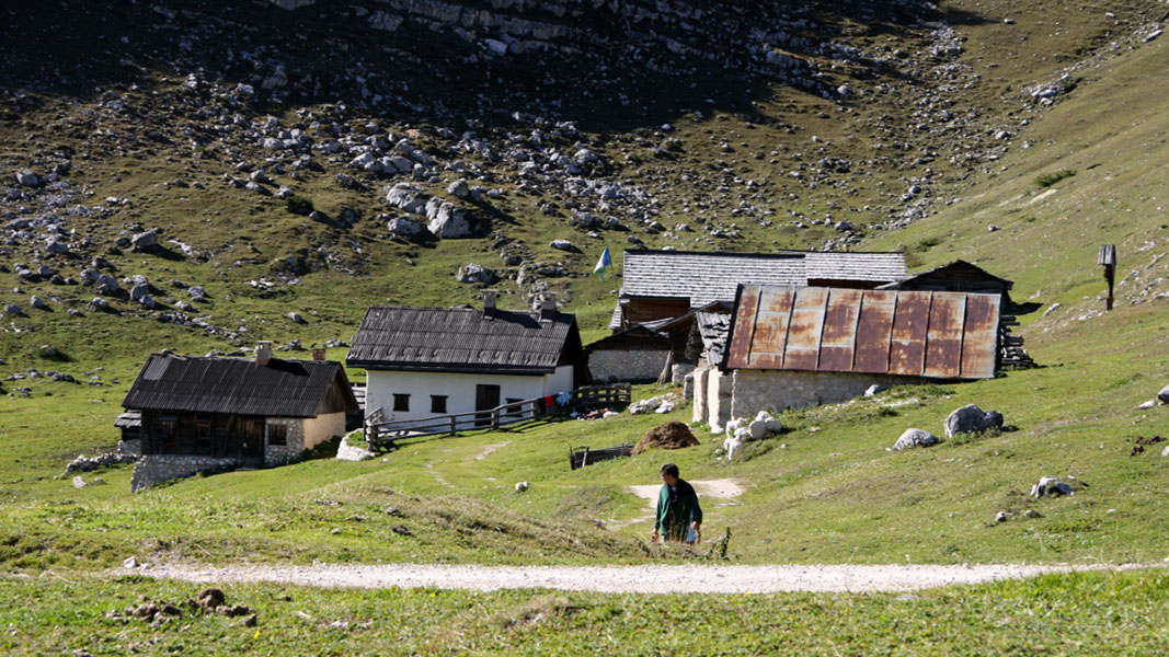 Sennesalm