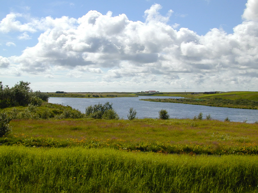 Landschaft