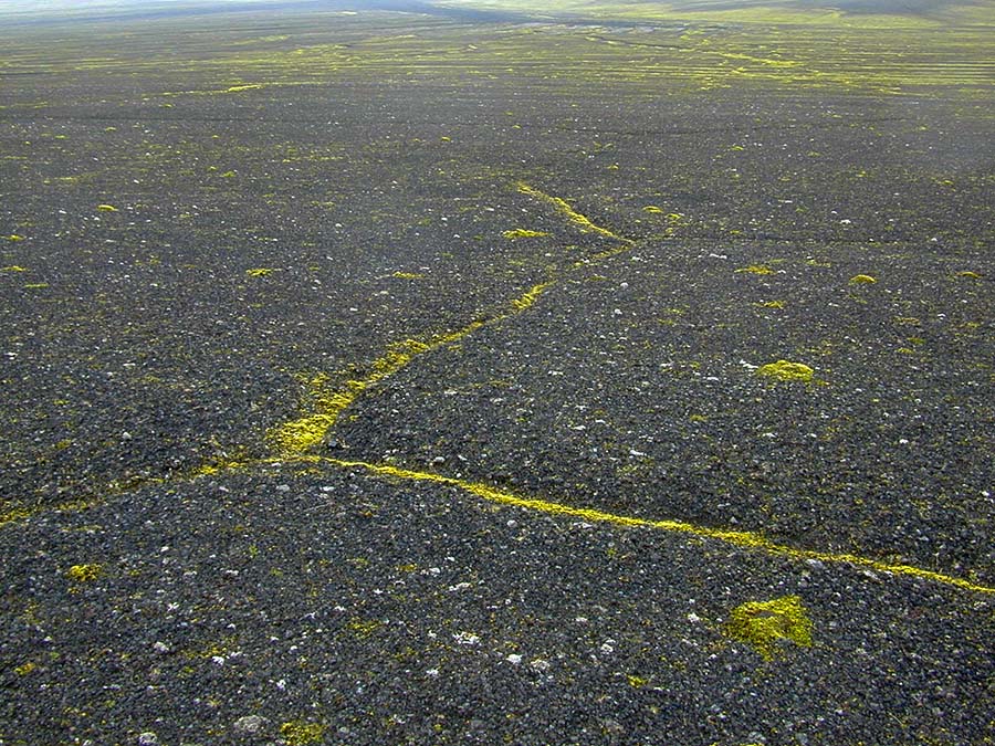 Veiðivötn