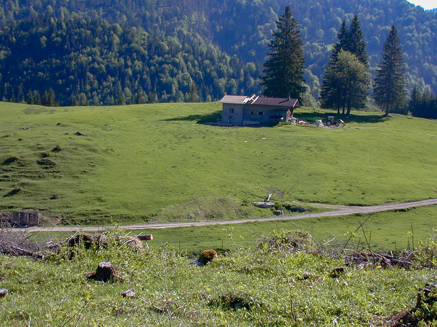 Zöttbachalm
