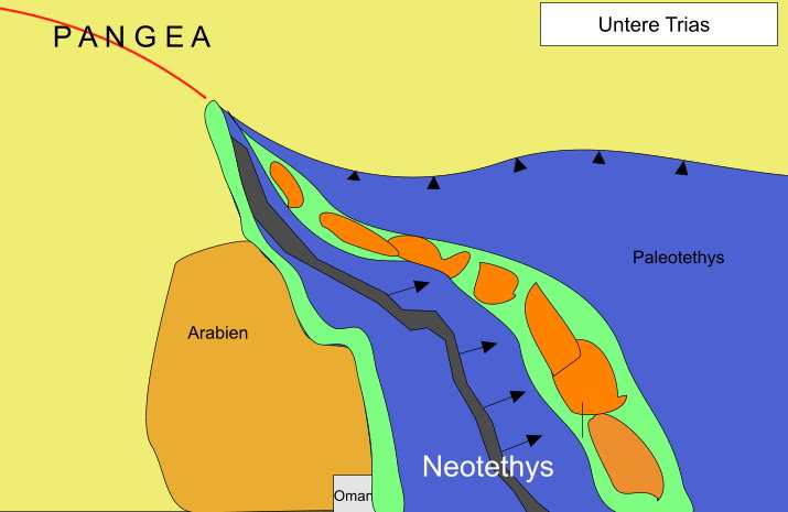 Neotethys