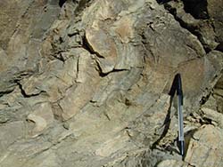 Abschiebung an einer tekt.Störung