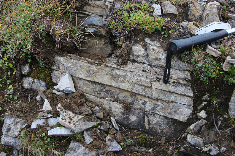 Gebankte Kalke/Dolomite am Hoadlsattel A7_08.JPG