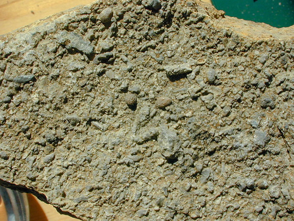 Fossilienplatte