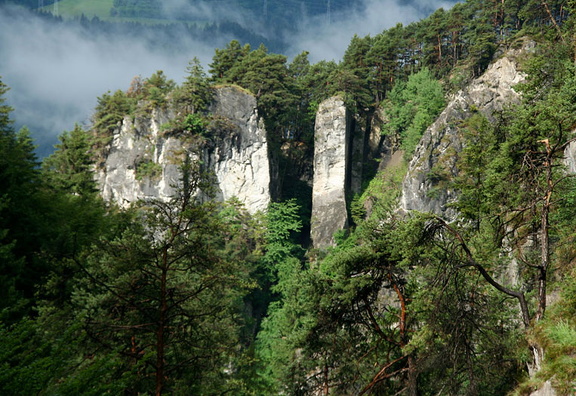 Raiblerschichten Ehnbachschlucht