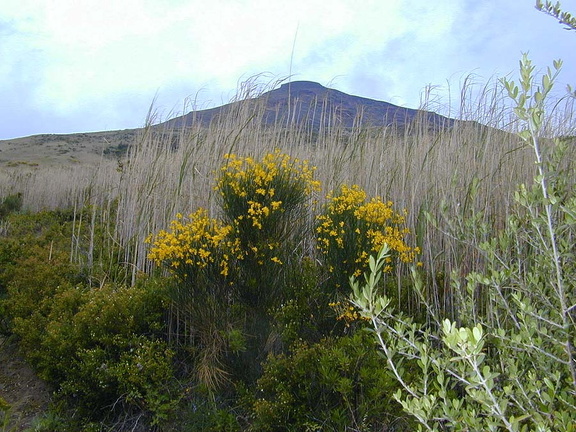 Stromboli