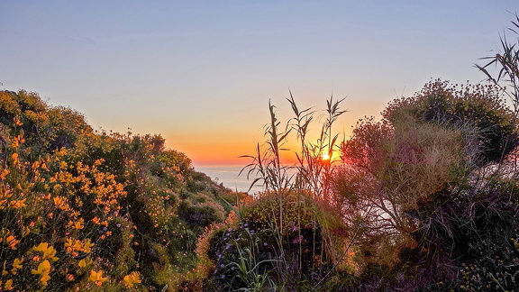 Stromboli